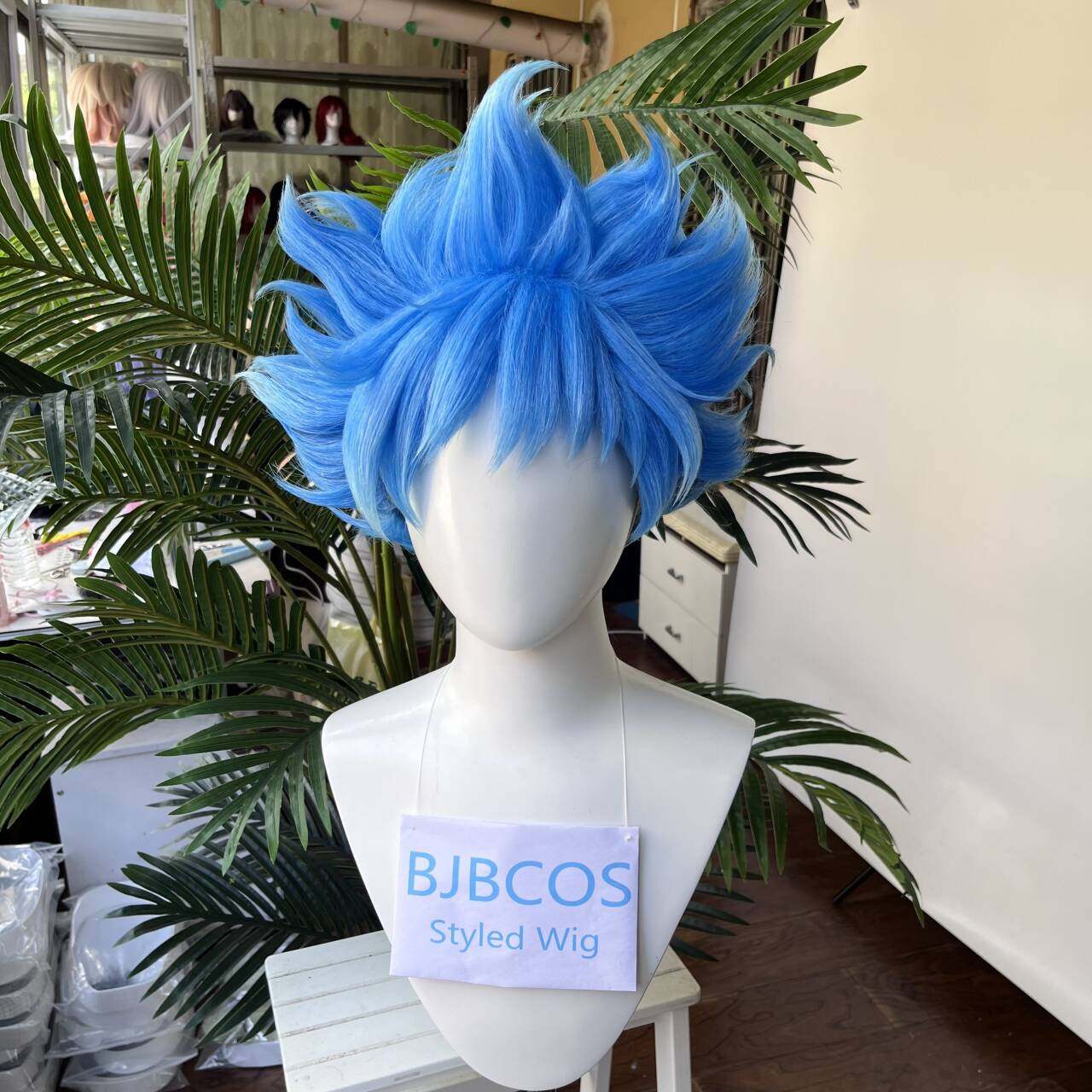 [Styled Wig]Twisted Wig Wonder - Men Accessories Style review and price