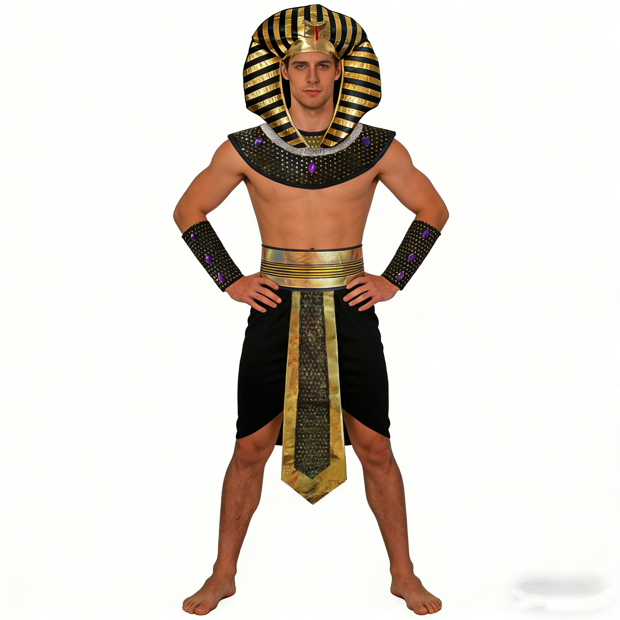 Carnival Men Costume Egyptian  - Men Accessories Egypt review and price