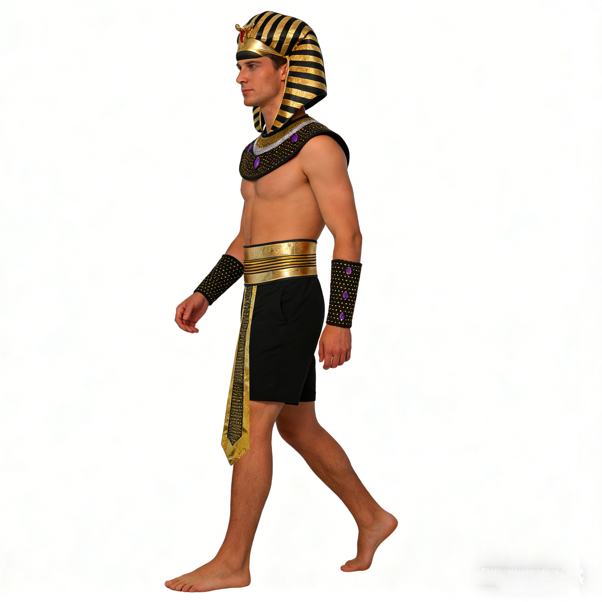 Carnival Men Costume Egyptian  - Men Accessories Egypt review and price