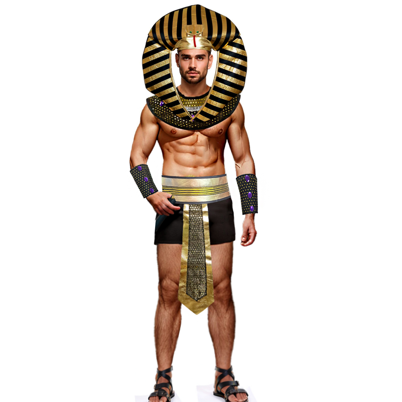 Carnival Men Costume Egyptian  - Men Accessories Egypt review and price